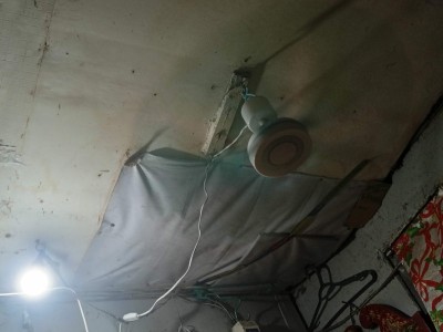 Help us rebuild our home that shelters stray dogs and cats.