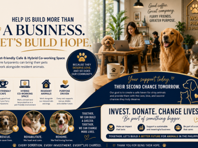Let’s Build a Pet-friendly Cafe & Hybrid Co-working Space